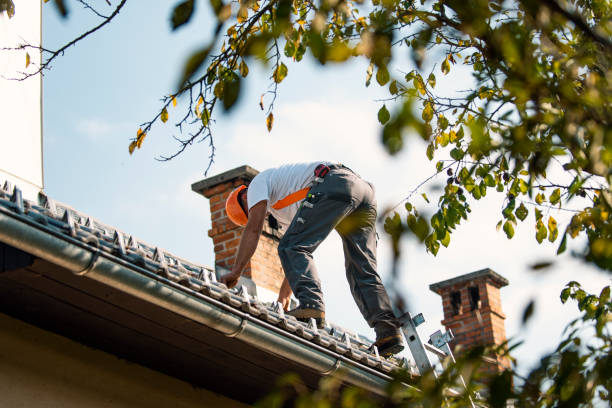 Best Storm Damage Roof Repair  in Burgin, KY