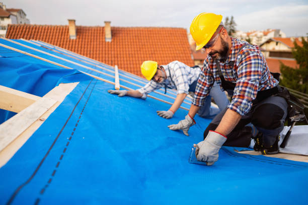 Best Storm Damage Roof Repair  in Burgin, KY