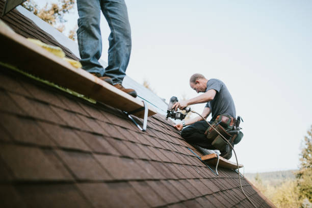 Roof Gutter Cleaning in Burgin, KY